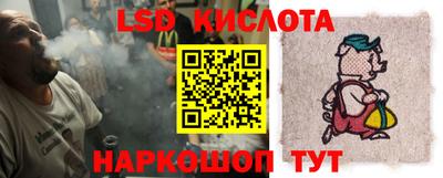 прущие крисы Кингисепп