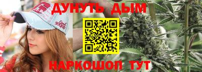 прущие крисы Кингисепп