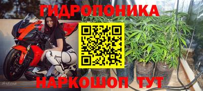 прущие грибы Кимры