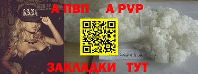 прущие крисы Кингисепп